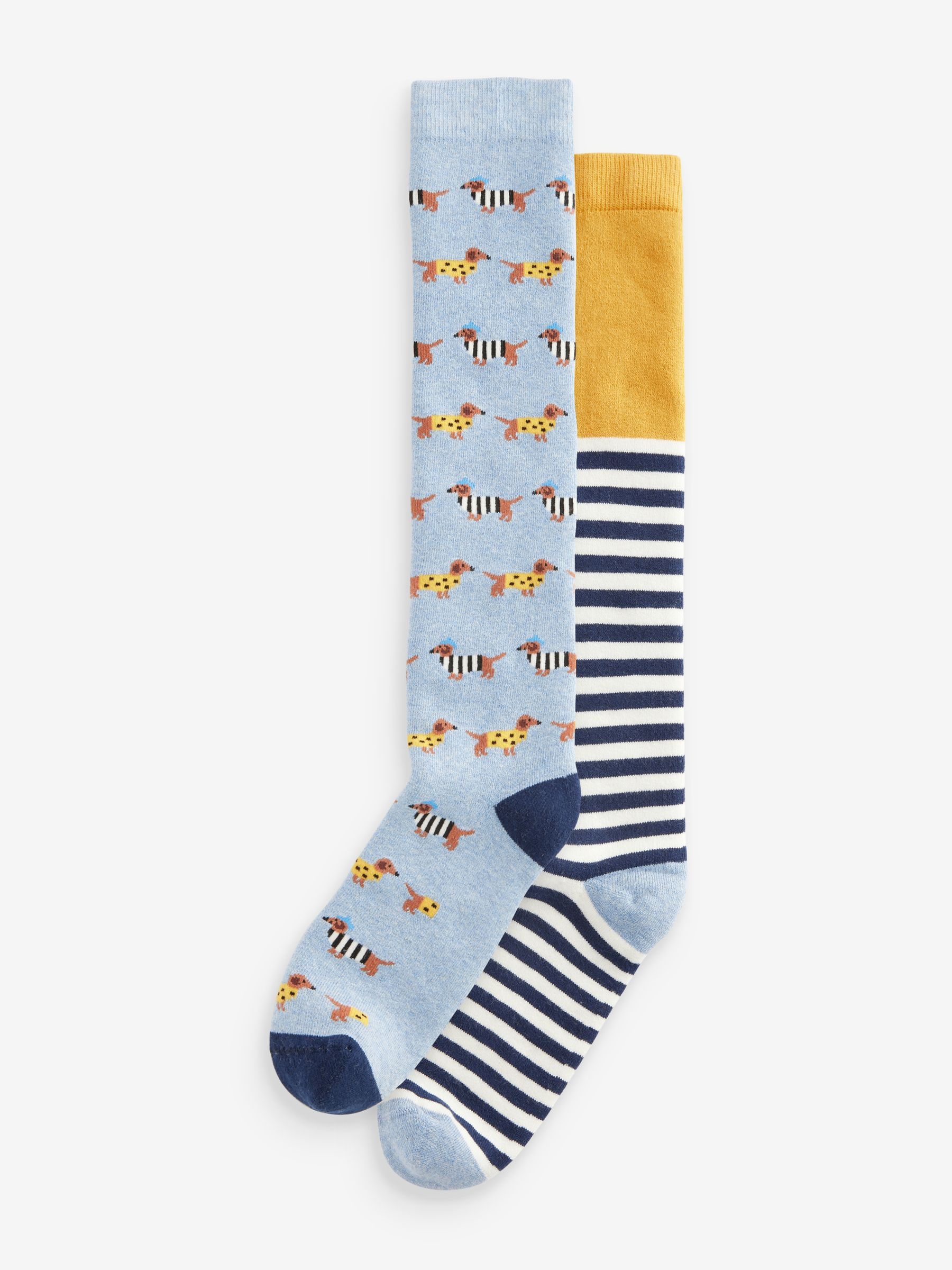 Navy/Ochre Teckels - Set van 2 paar regenlaarssokken