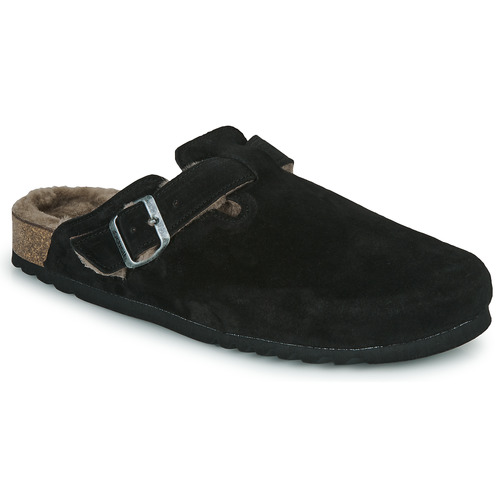 Scholl - OLIVIER Negro