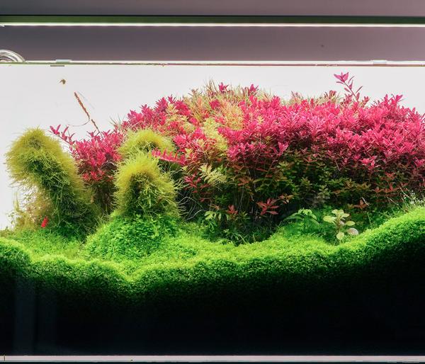 Chihiros Aquariumbeleuchtung LED-System B