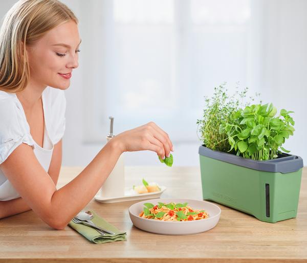 Gusta Garden Kräutertopf Harry Herbs, ca.