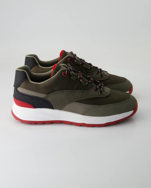 Geox Terrestre Sneaker in Grün
