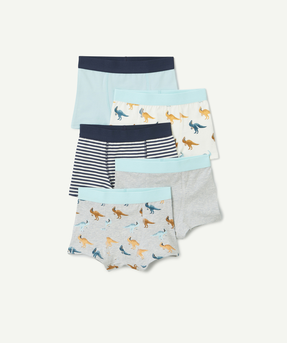 LOT DE 5 BOXERS GARÇON EN COTON BIO GRIS ET BLEU THÈME DINOSAURES