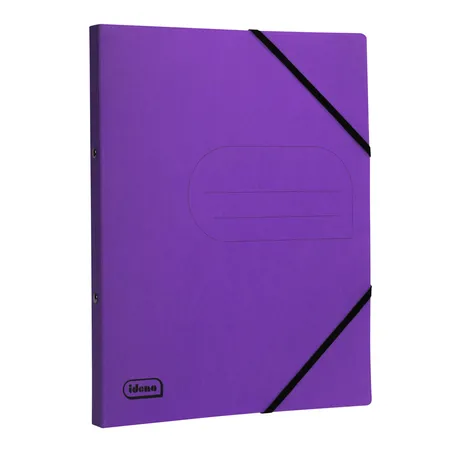Idena Eco Ringbuch A4mit 2 Ringe lila FSC-Mix