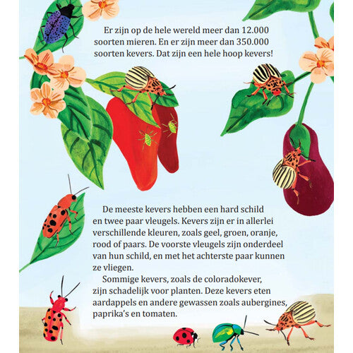Uitgeverij rubinstein mijn gouden boekje over insecten
