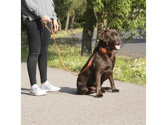 Laisse pour chien en viscose de bambou - Orange - L 120 x l 2,5 cm