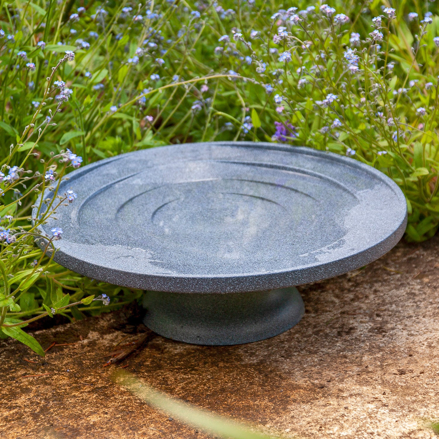 L'eau est la vie pour bain d'oiseaux et buveur