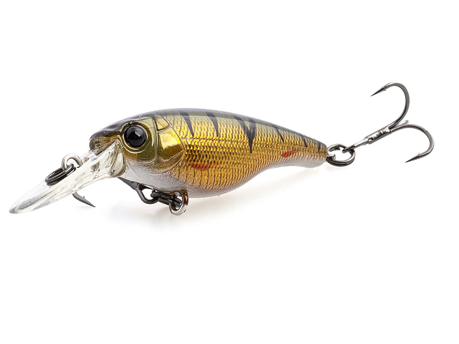 SX 40LC (373) Olive Perch