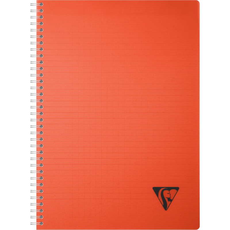 Carnet spirale Linicolor Essence A4 21 x 29,7 cm grands carreaux - 180 pages