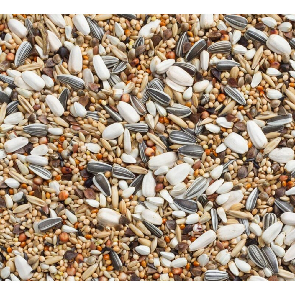 Deli Nature Parkiet Zonnepit Nummer 6920 kg