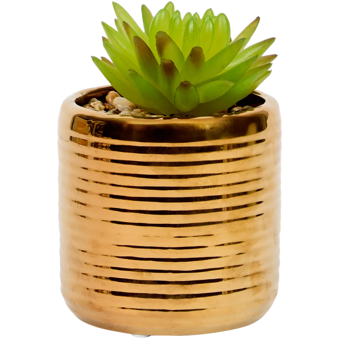Kunstvetplant in pot Diverse varianten