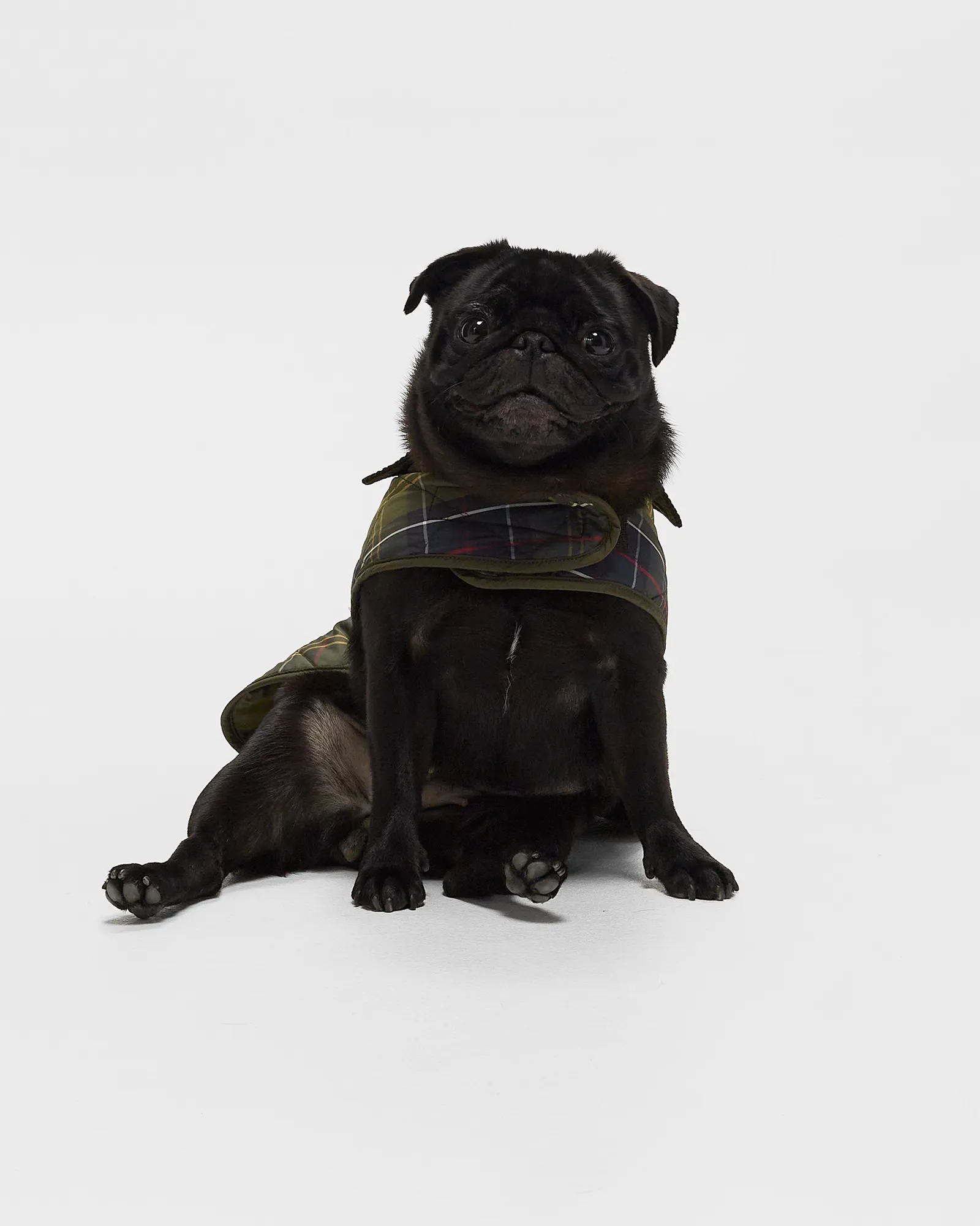Barbour Tartan Dog Coat