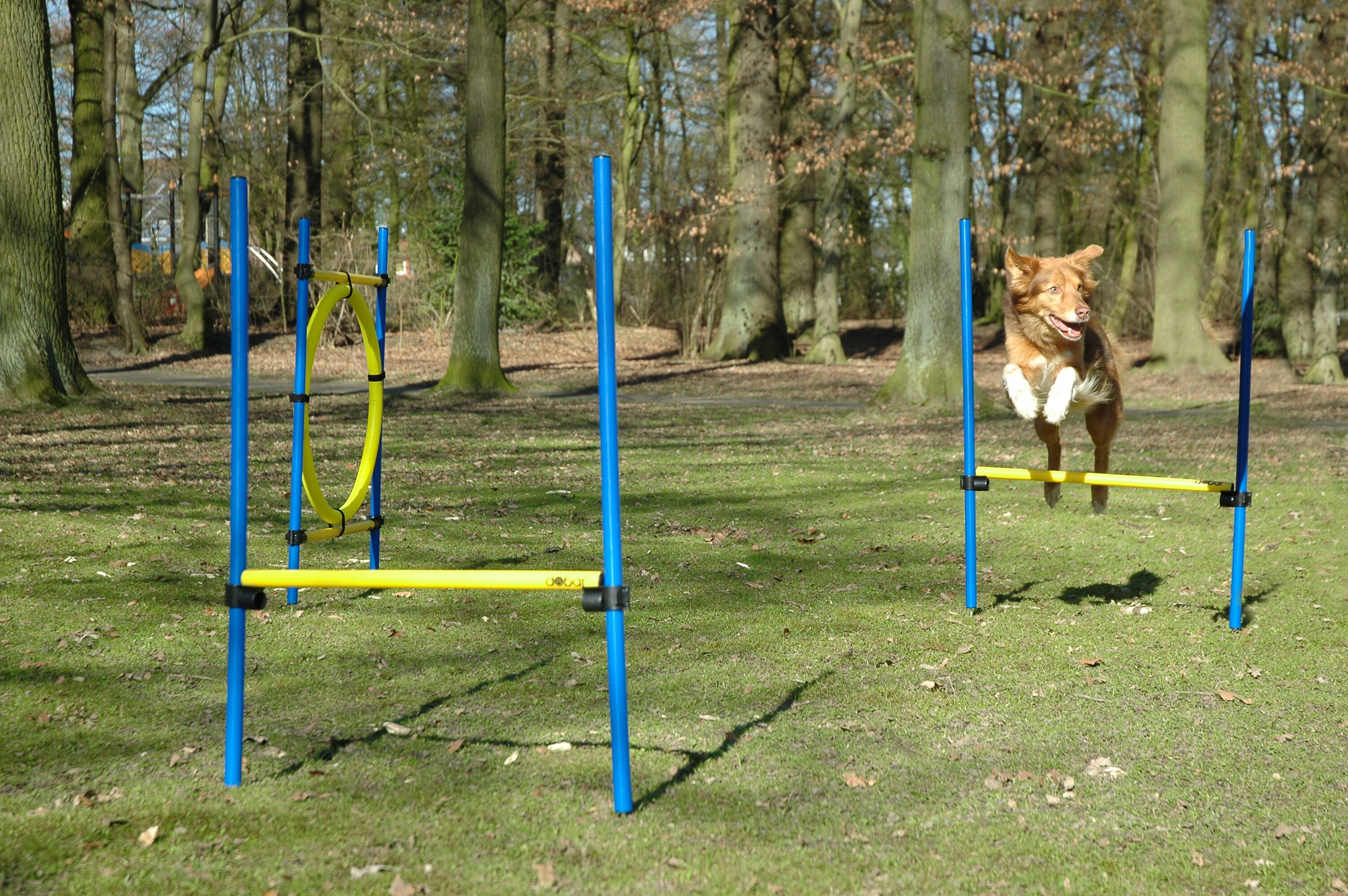 3-teiliges Agility Sprung-Set, mit 2 Hürden und Sprungreif
