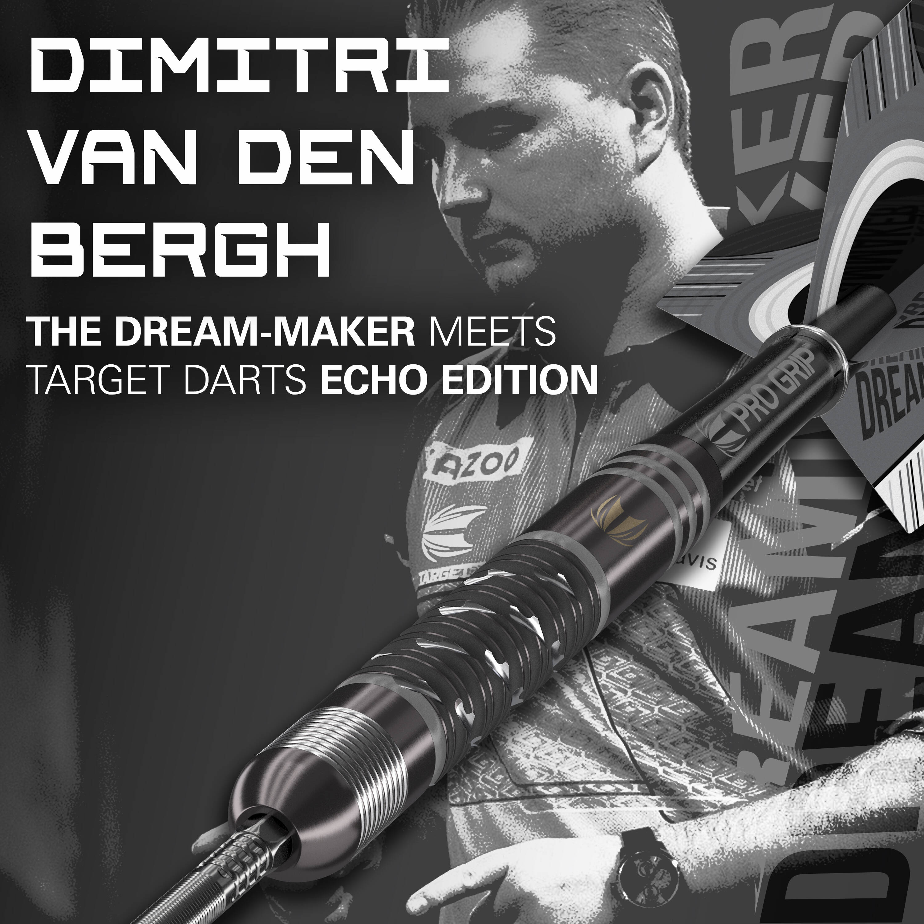 Target - Swiss Point - Dimitri van den Bergh x Echo - Steeldart