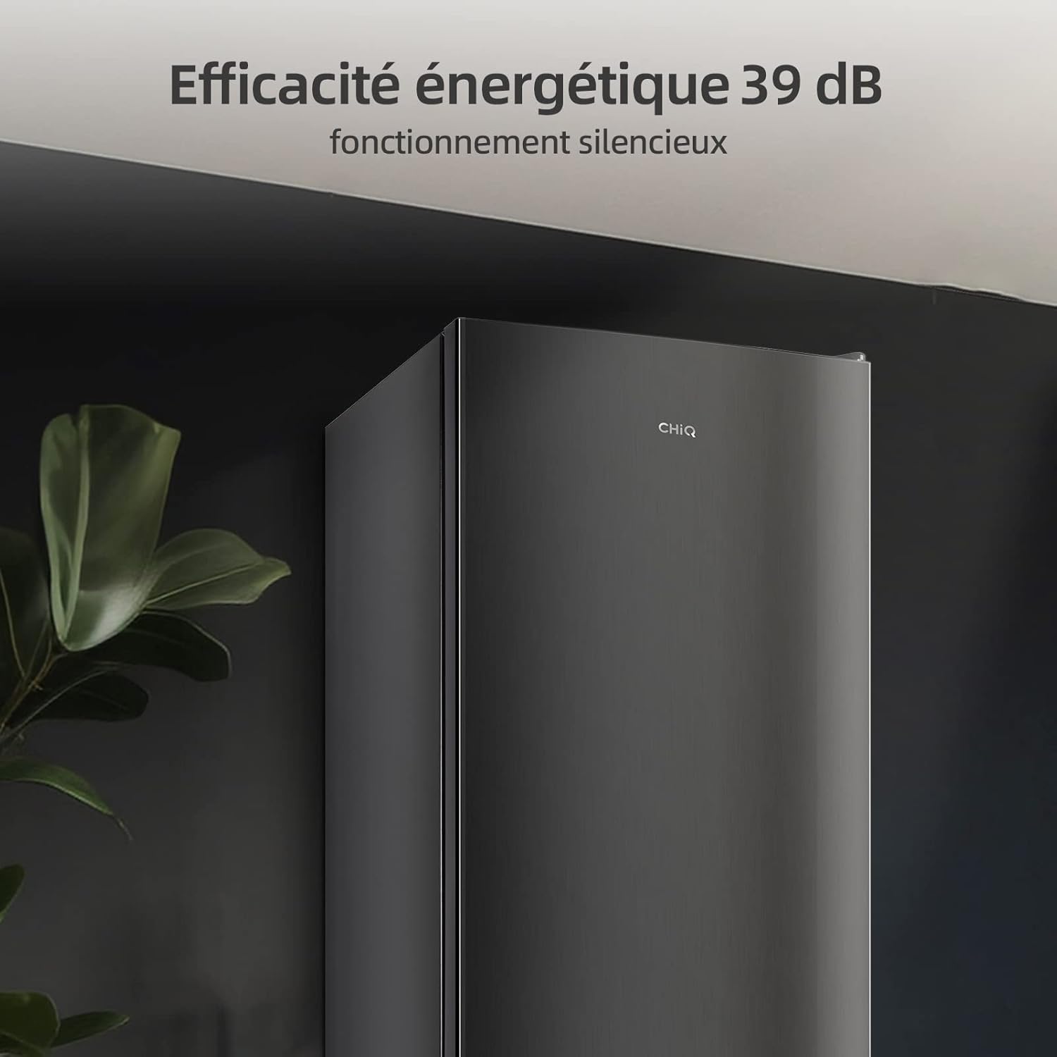 Réfrigérateur à congélateur inférieur CHIQ CBM159LEBD 157 litres (109 + 48)