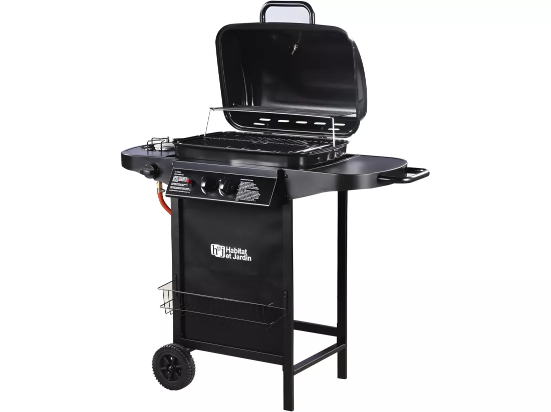 Barbecue gaz 