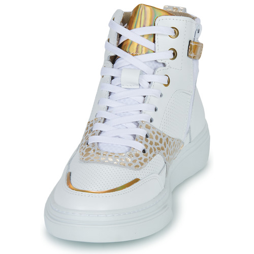 Bullboxer - AOP508 - Blanc