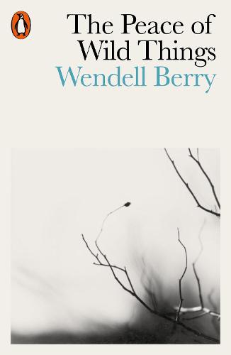 The Peace of Wild Things: And Other Poems (Paperback)