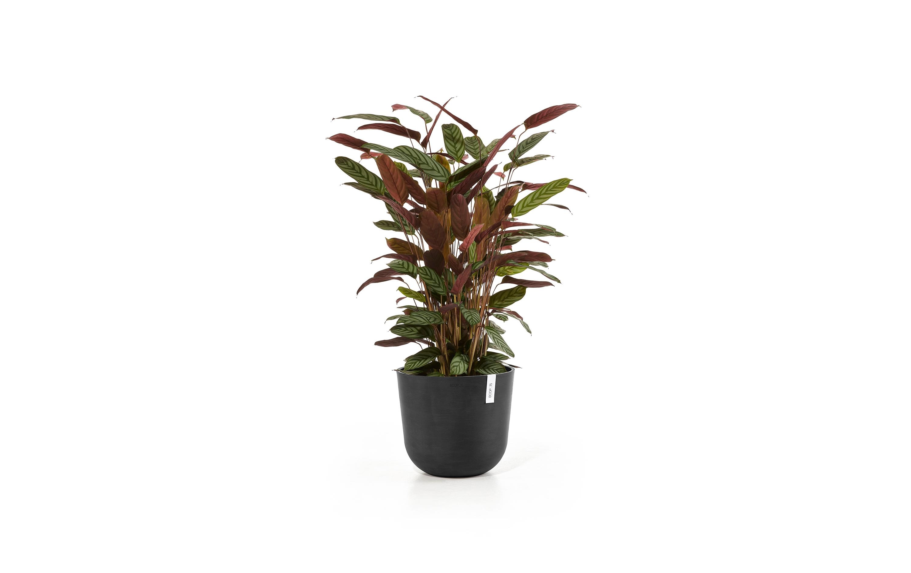 Pflanzentopf Oslo 45 DunkelgrauBlumentopf
