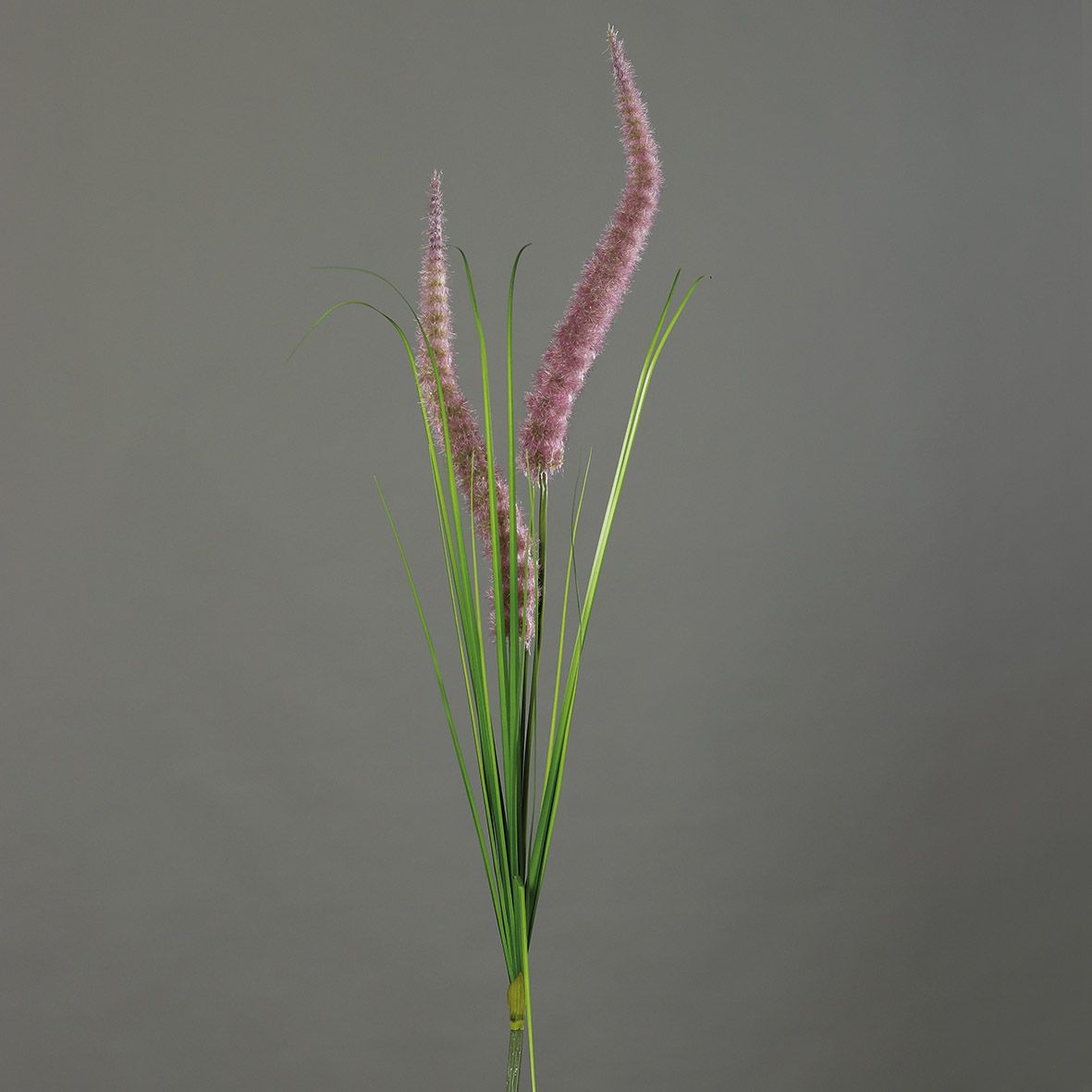 Kunstpflanze Gras