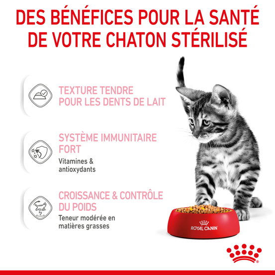 Gelée chaton Sterilised 6 à 12 mois Kitten Sterilised 12x85g