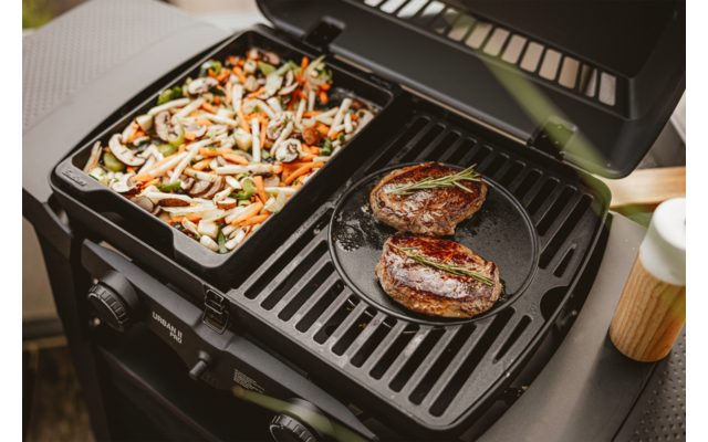 Enders Gussplatte für Grill Urban II / Explorer II
