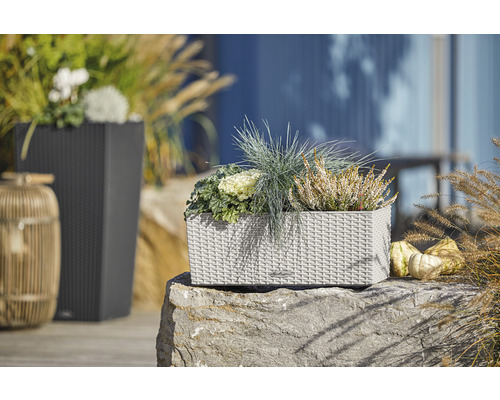 Lechuza Balconera Cottage bloembak 50cm grijs