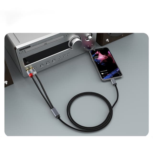 USB-C til 2x RCA stereolydkabel Grå