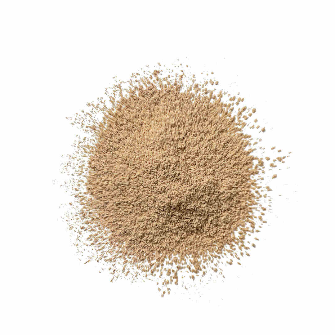 CLINIQUE Blended Face Powder Pó Solto