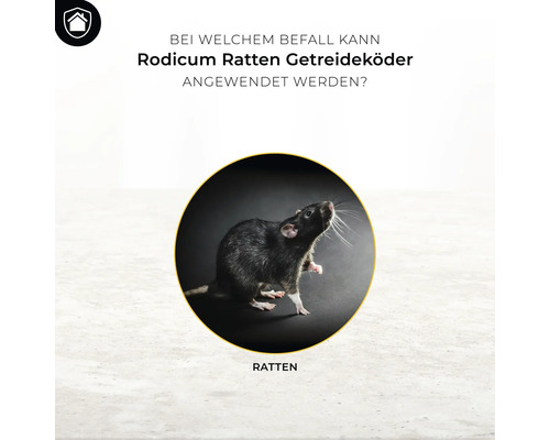 Rodicum Rattengraan Aas Protect Home 600 g