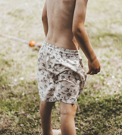 That's Mine Badeshorts - UV50+ - Neal - Dino Esta