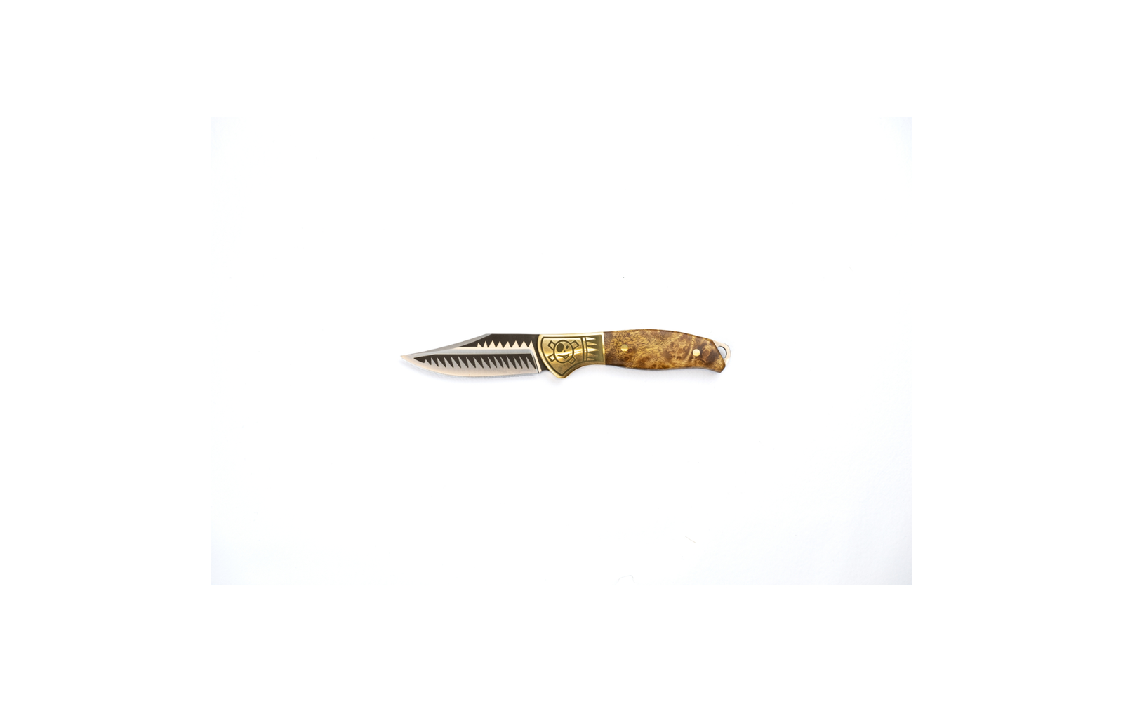 Homeys Steakmesser 4er Set 19,8 cm silber/gold