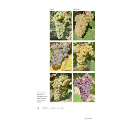 Journal Culinaire, No. 34 Epigenetik