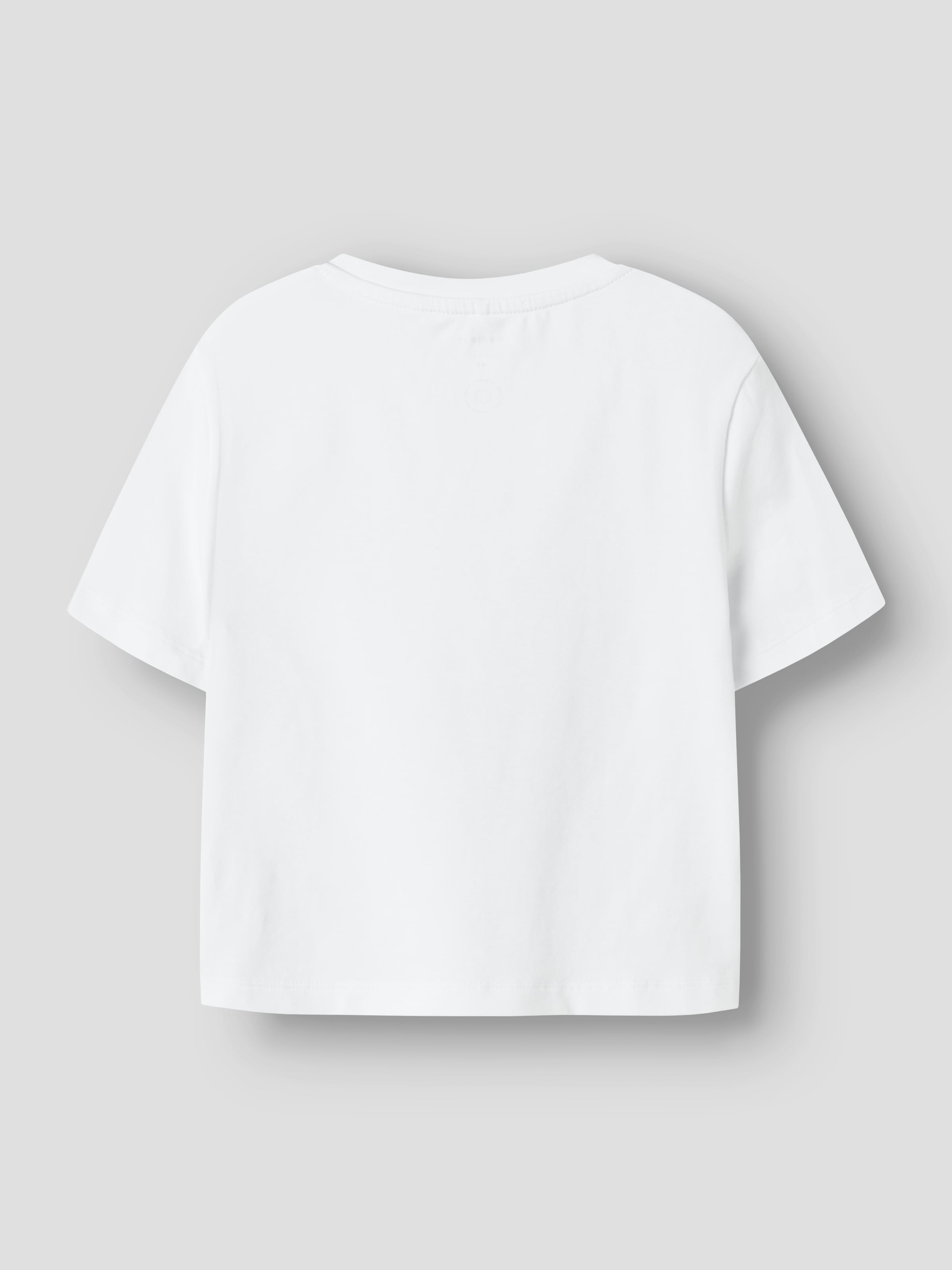 Name It T-Shirt »NMFLEOANJA SS NREG TOP 2P«, 2 Stk.