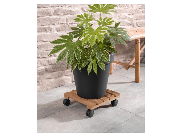 Plantentrolley