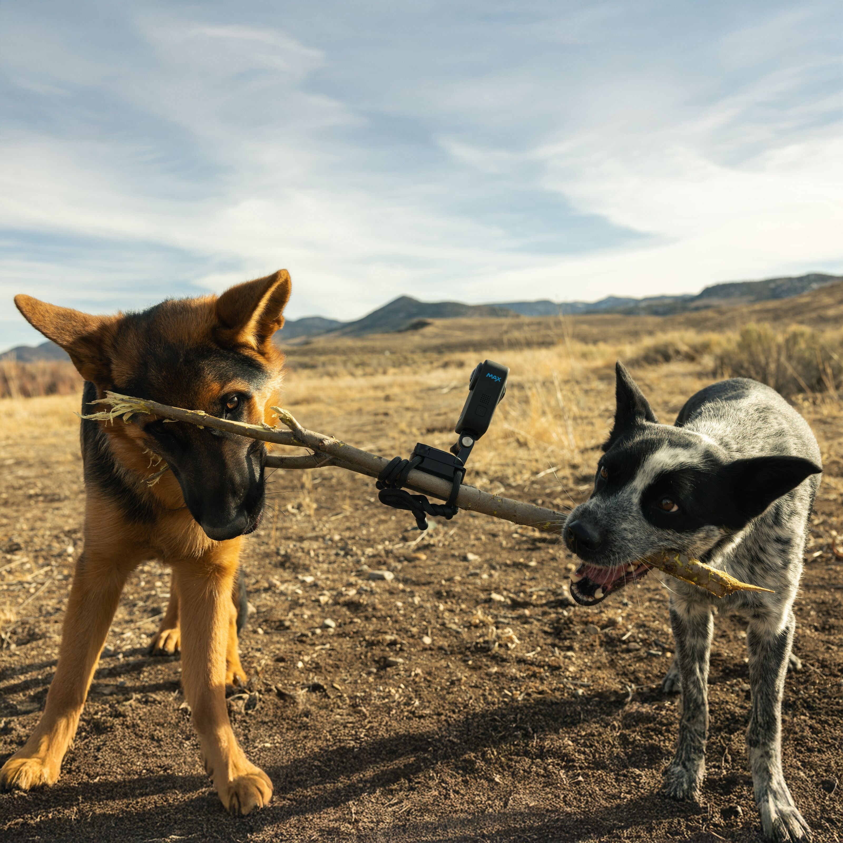 Gopro MAX360