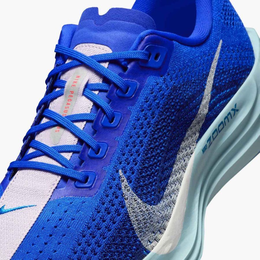 Nike Pegasus Plus