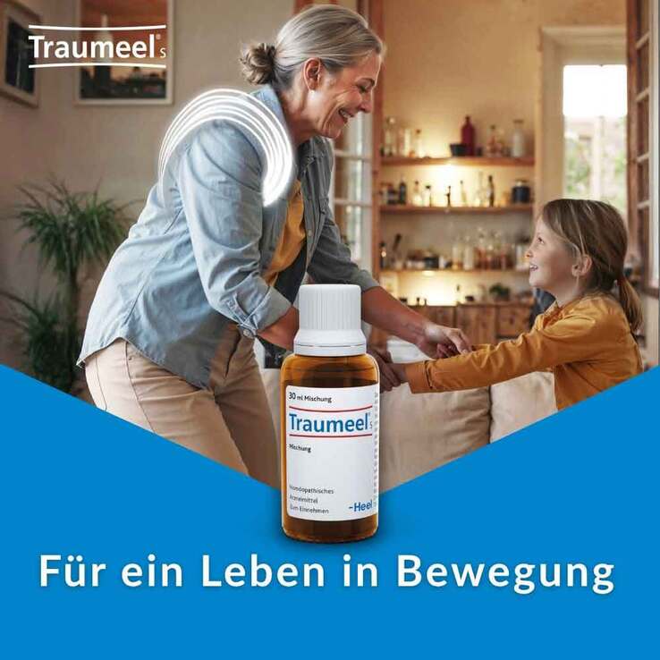 Traumeel S Mischung, 100 ml