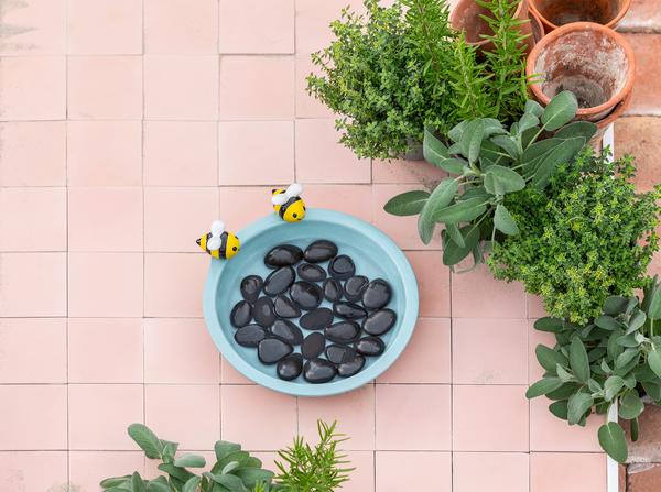 Dehner Natura Premium Insektentränke Aguada,