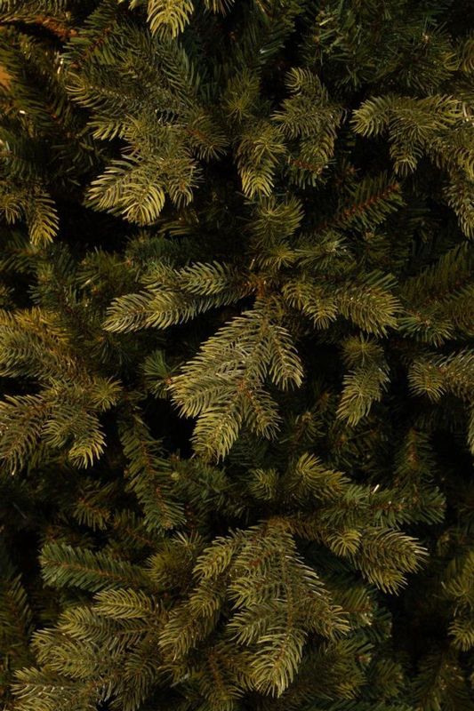 Black Box Trees - Delmar - Kunstkerstboom - Groen - 215 cm