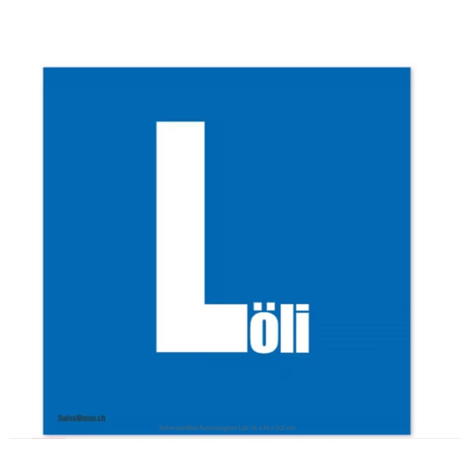 (16x16cm) Lustiger Auto Magnet Deko Lernfahr Zeichen Automagnet (108.00) - Löli