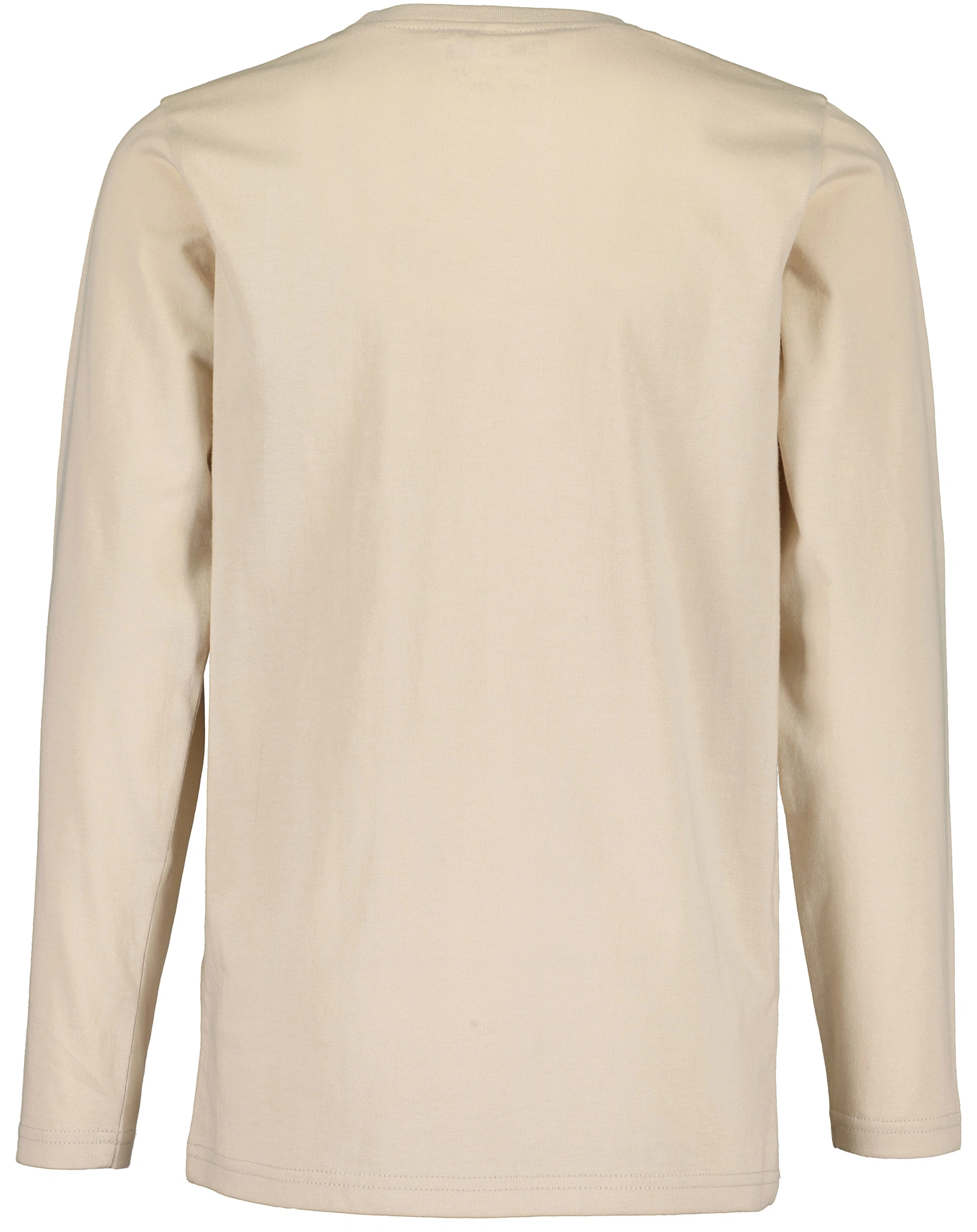 Langarmshirt VISUAL in beige