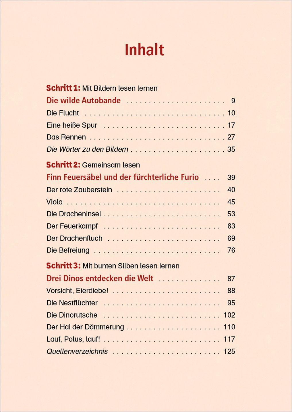 Lesenlernen in 3 Schritten - Die schönsten Abenteuergeschichten