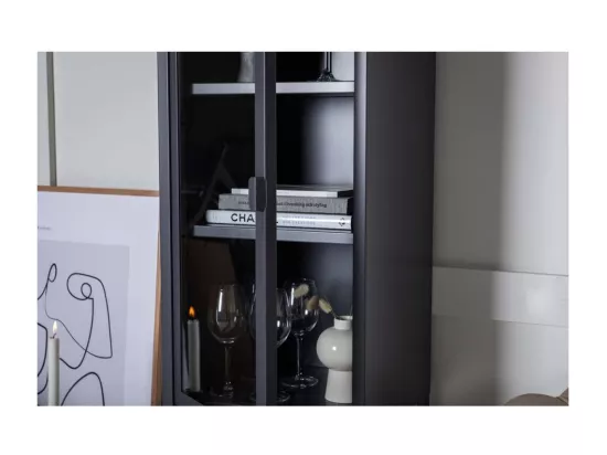Vitrine Avec Porte en Verre 