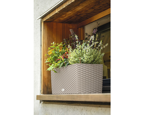 Lechuza Balconera Cottage bloembak 50cm zand