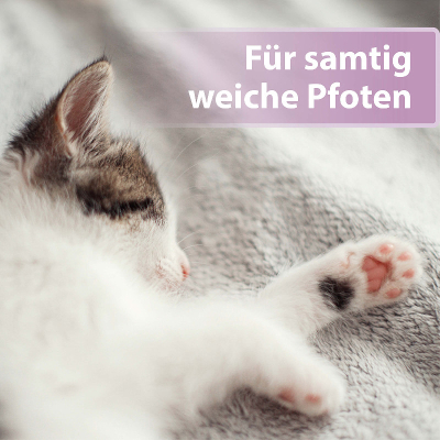 Felisept Pfotenpflege für Katzen 75g