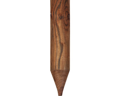 Paal 8 x 150 cm, bruin
