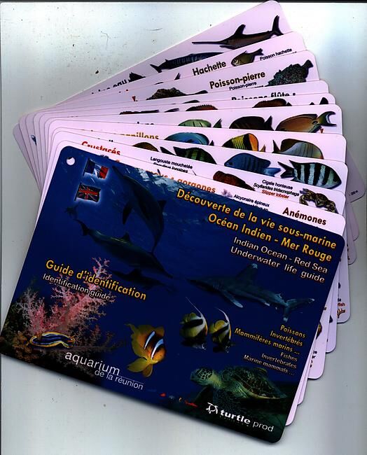 GAP - PLAQUETTES OCEAN INDIEN ET MER ROUGE