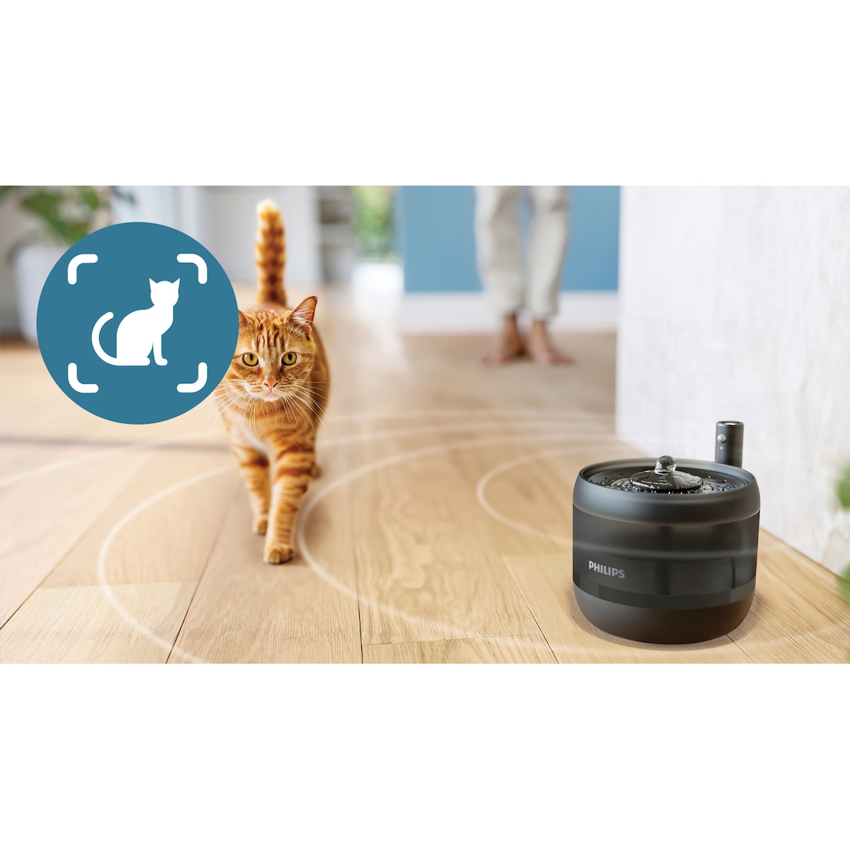 Philips Pet Series vannfontene PAW3210/02 (sort)