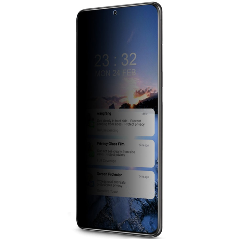 Samsung Galaxy S21 FE 5G Privacy Vollbild Panzer Glas Display