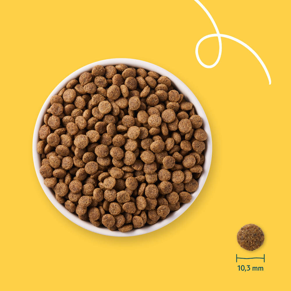 Yarrah Biologisch Graanvrij - Kattenvoer - 10 Kilogram - kip